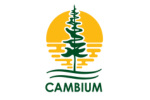 Cambium Logo