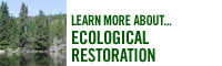 Featured Web Site - Ecological Restoration 