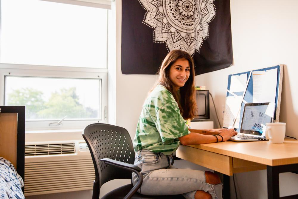 Student working at a desk on a computer