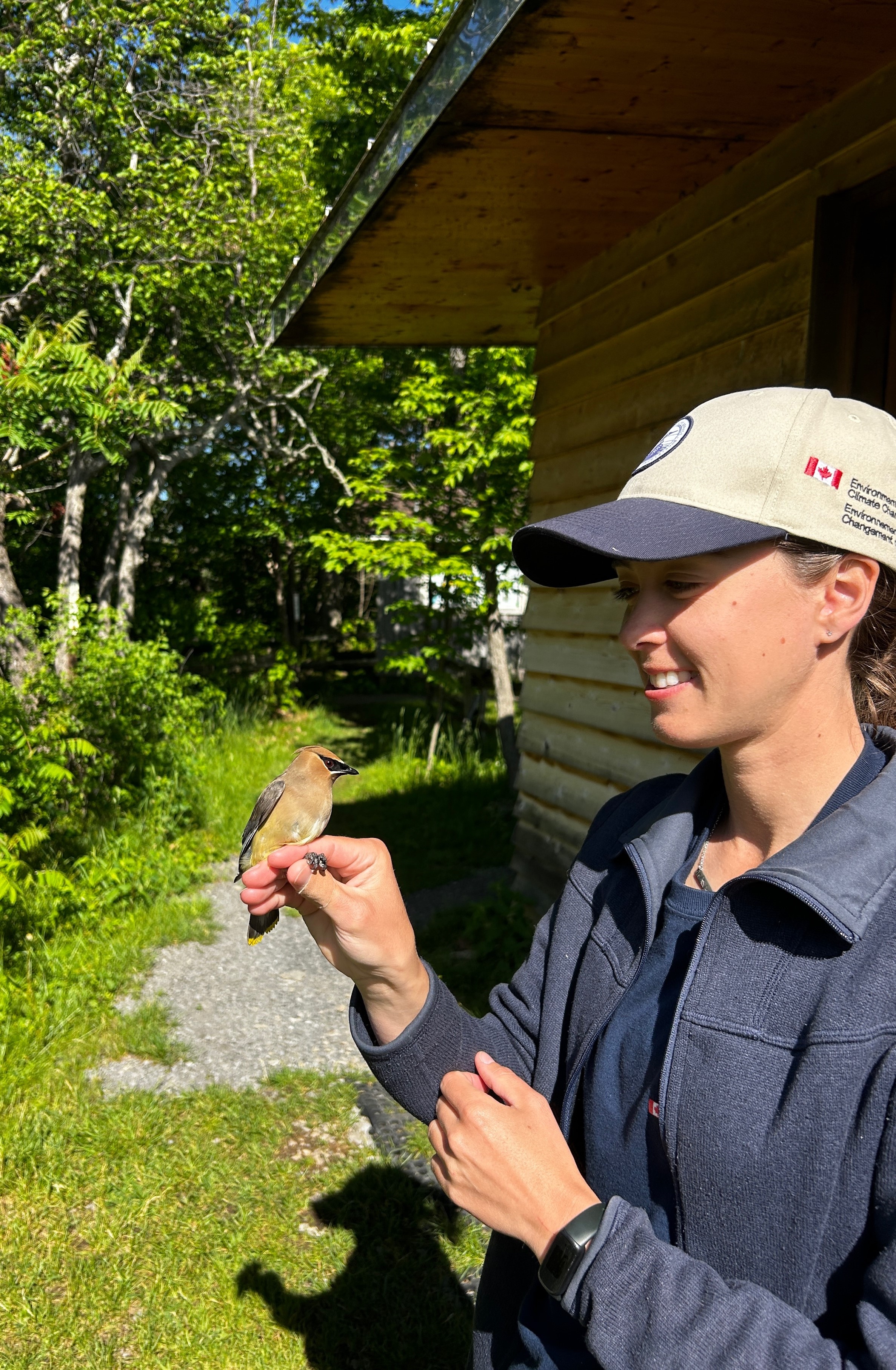 Student holding banded cedar waxwing