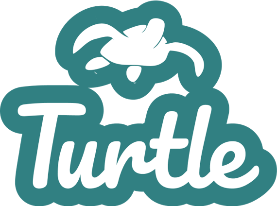 Turtle Self- Assessment Logo
