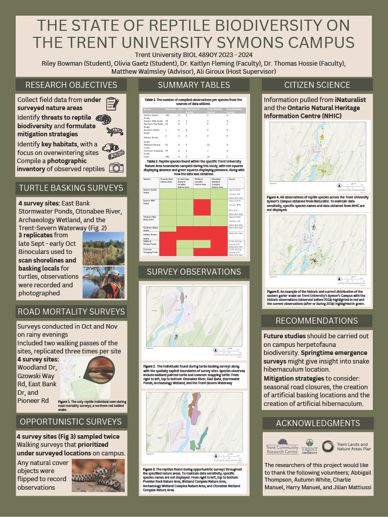 #6137 The State of Reptile Biodiversity on the Trent University Symons Campus