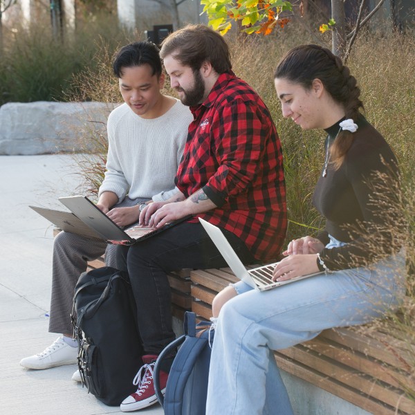 Three students studying together outdoors