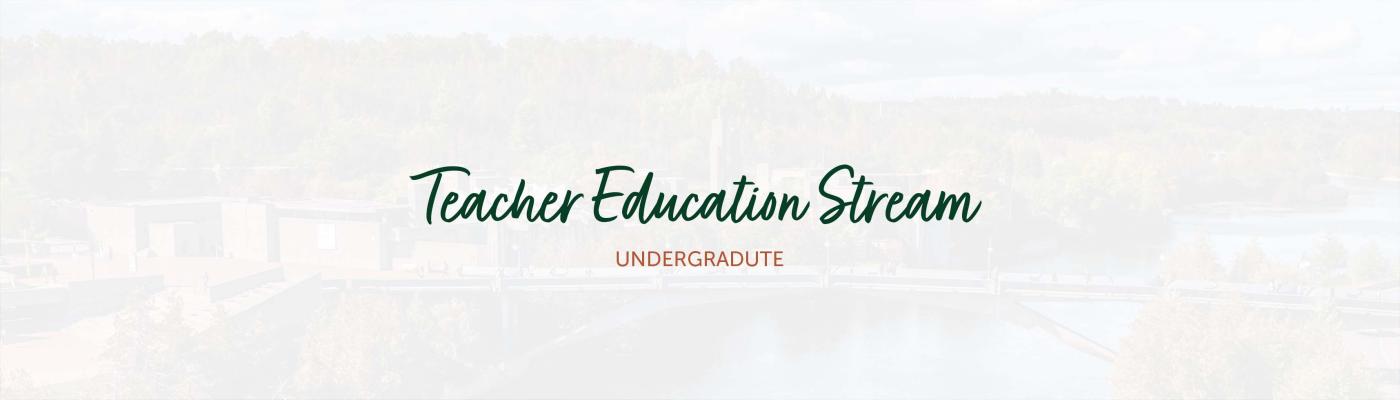 Teacher Education Stream banner