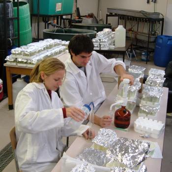 male and female grad students in laboratory working with samples