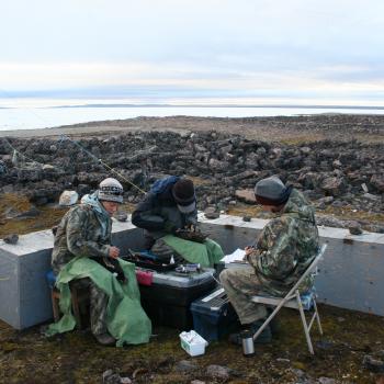 Students conducting research