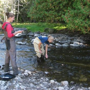 Students testing water in a stream