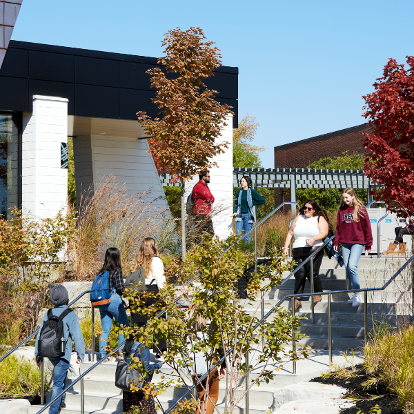 Group of students.