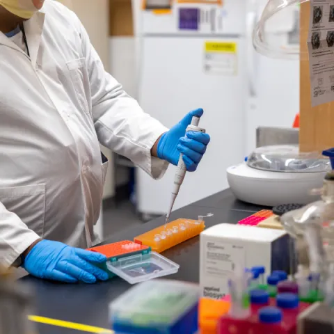 Researcher using tools in biology lab.