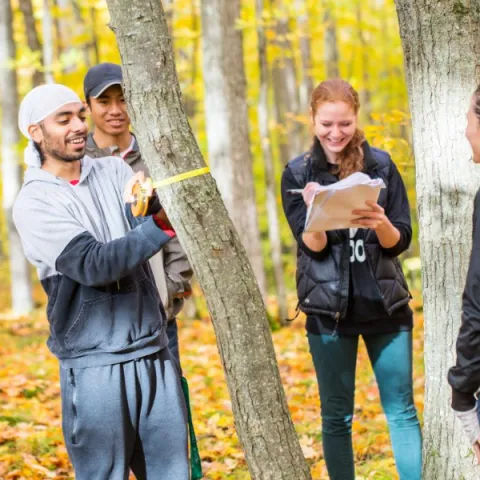 Trent University in a forest, surveying tress for a lab.