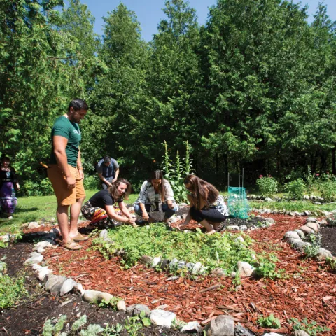 Trent University staff and students, doing on the land learning, at the medicine garden.