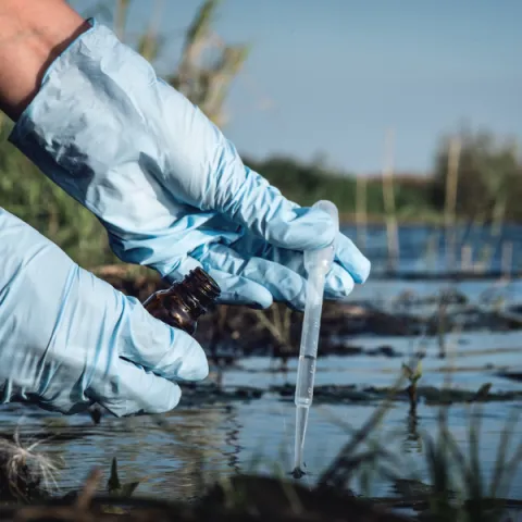 Person taking water sample from a body of water.