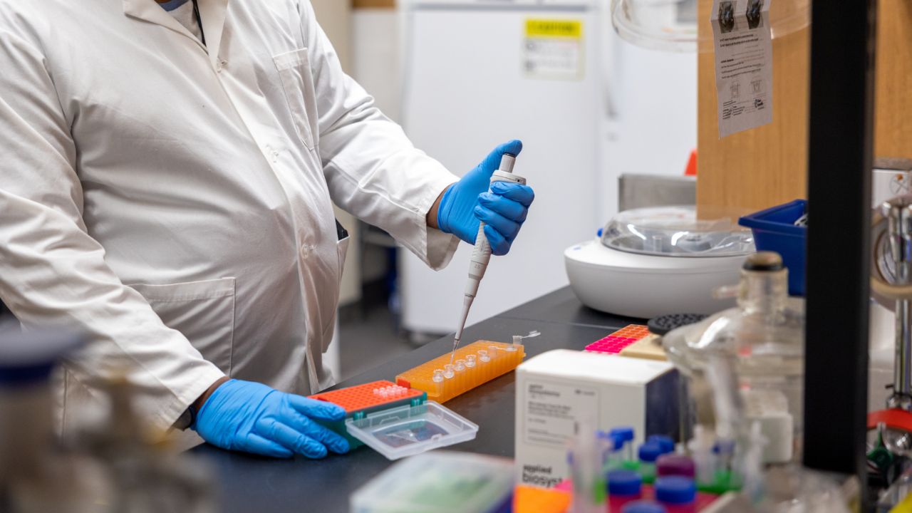 A professor working in a lab