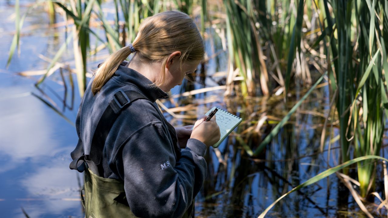 Student taking notes in a swamp