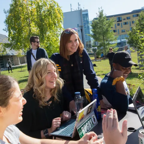 A group of Trent University students, working together on their laptops and talking.