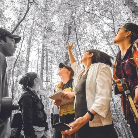 Trent University student and professor in a forest, looking up at trees.