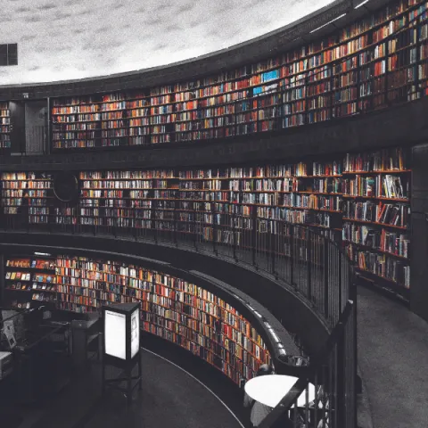 Library full book shelves.