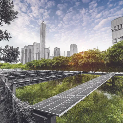 Solar panels in a city, surrounded by nature.