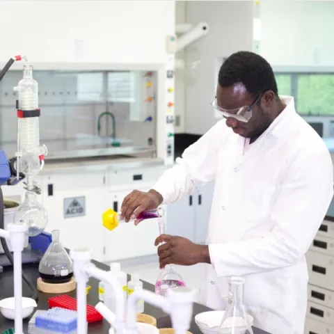 A student working in a lab