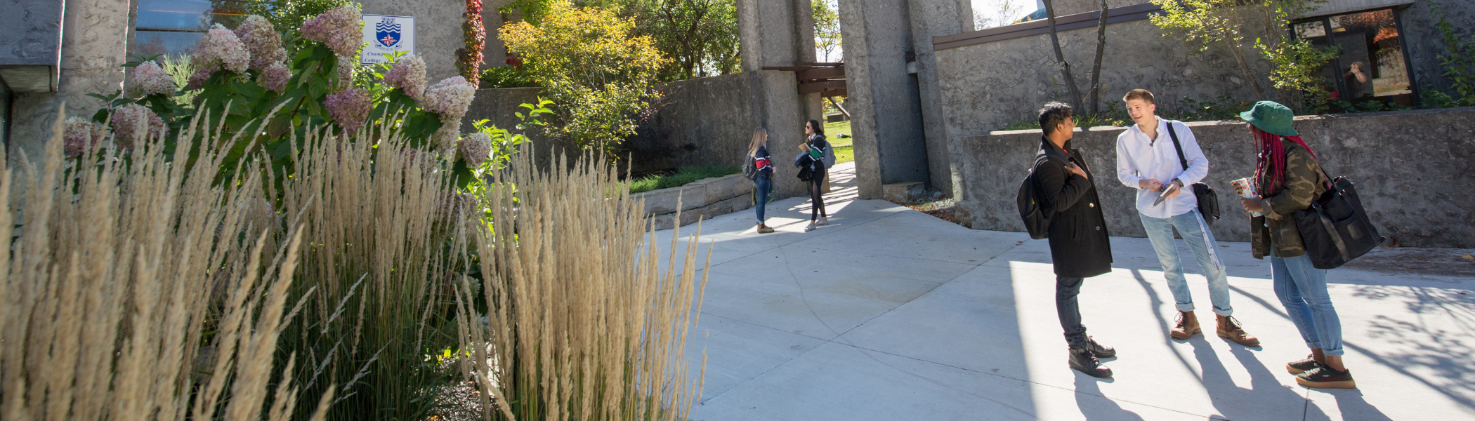 Three students standing outside of Champlain college, talking with each other.