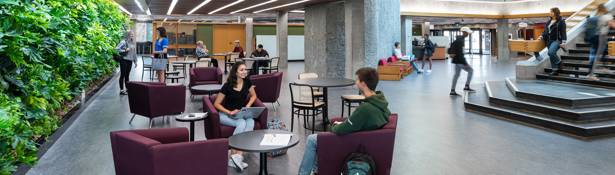 Students in library.