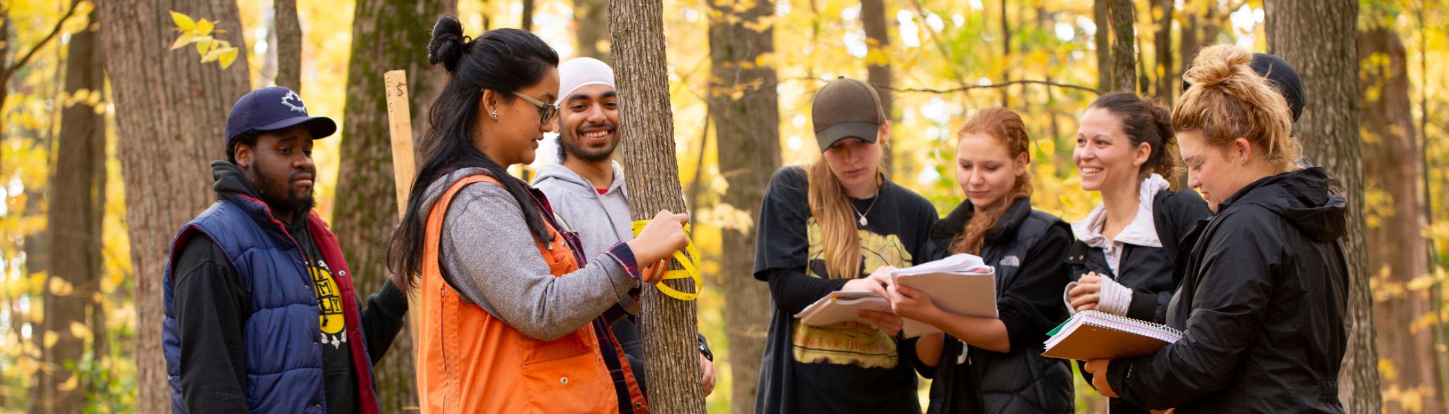 Students gathering samples in the forest