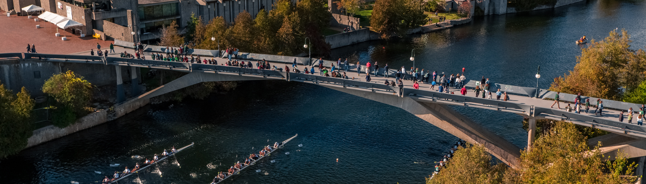 A fall aerial image of Trent Symons’ campus in Peterborough During Head of The Trent, the annual rowing Regatta. With two boats and rowing teams going under the Faryon bridge – which is full of people watching the rowing. 