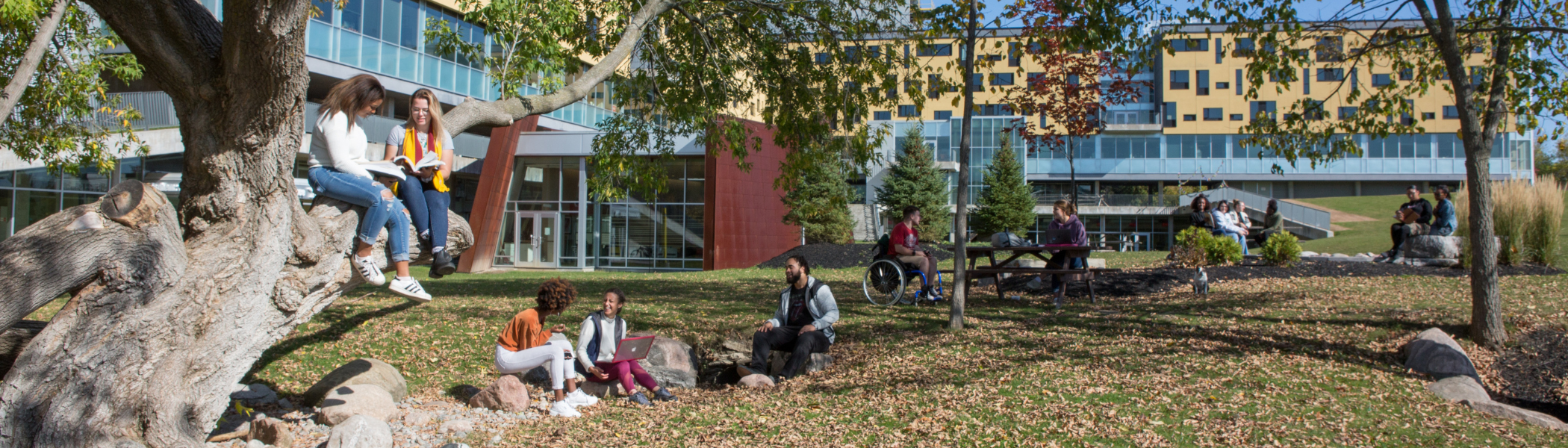 Groups of students, sitting in a tree, on the ground, in seats, talking to each other outside of Enwayaang.