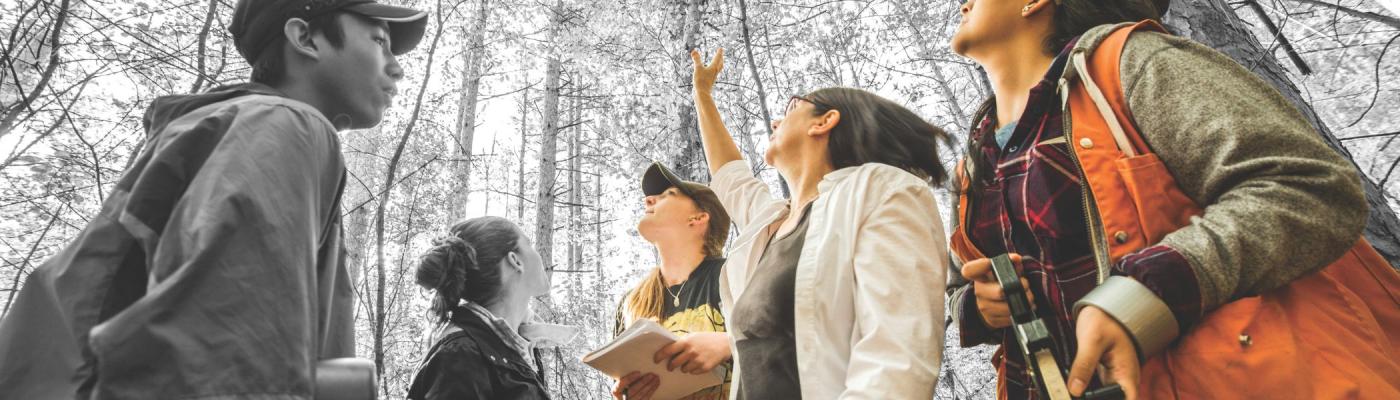 Students in a forest