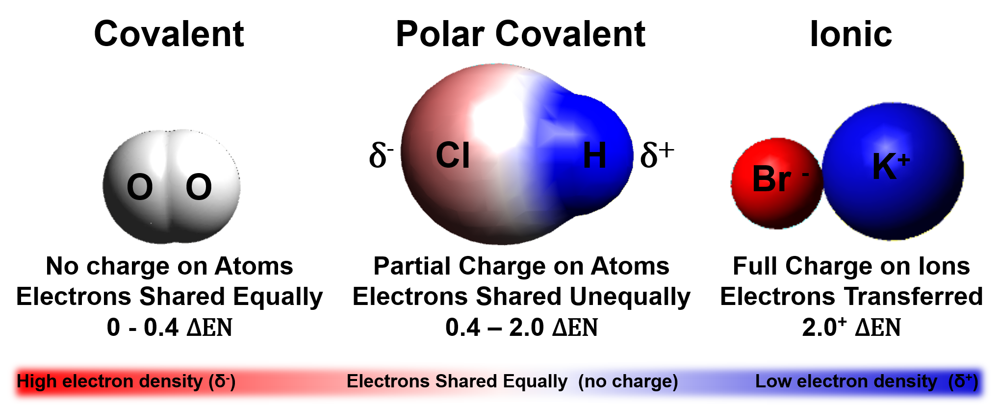 Electronegativity Bondtypes 