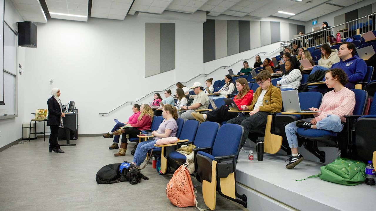 Students in a classroom.