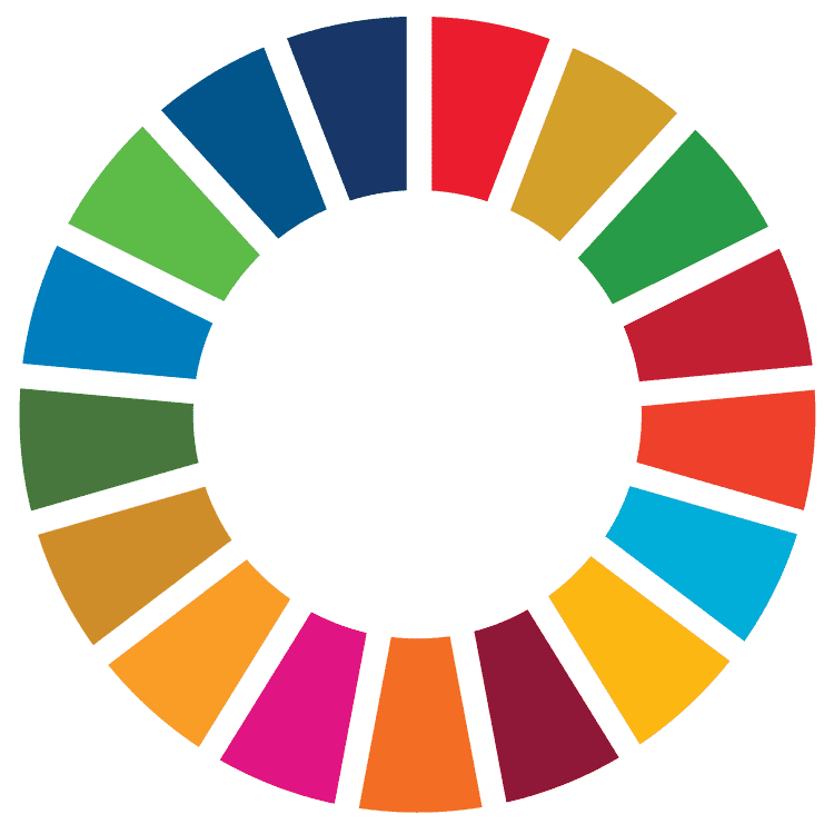 Wheel of UN sustainable development goals
